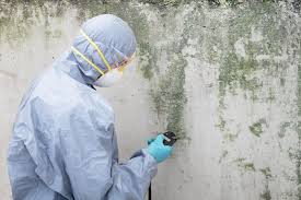 Best Emergency Mold Remediation  in Ketchikan, AK